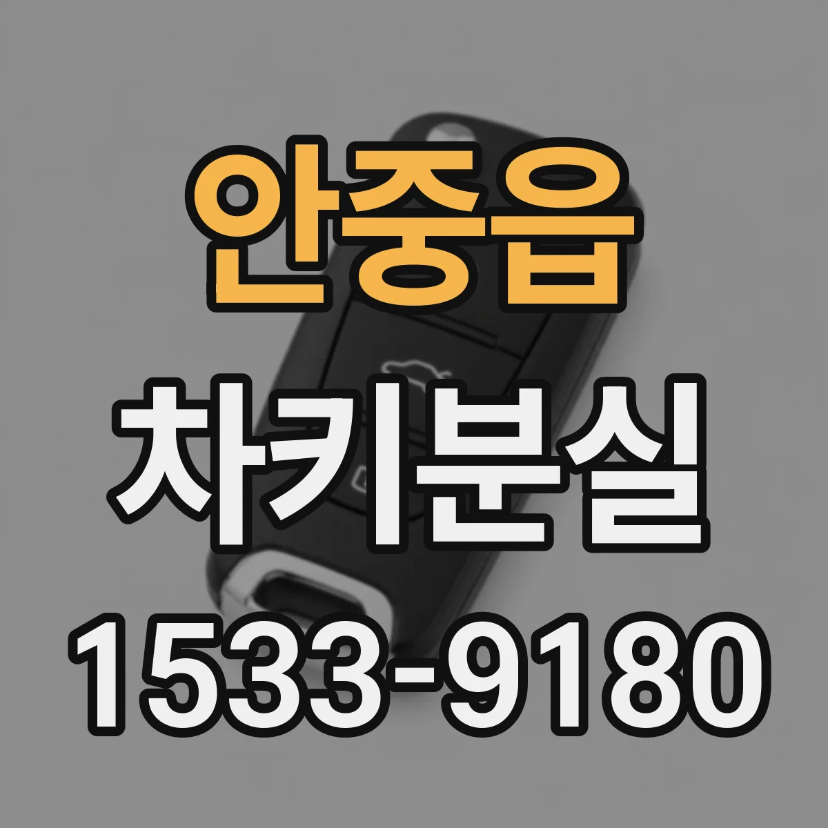 안중읍 차키분실