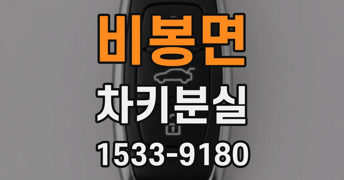비봉면 차키분실