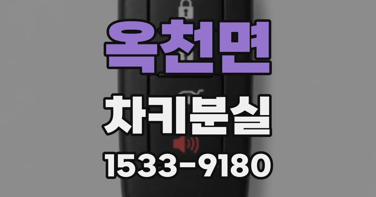 옥천면 차키분실