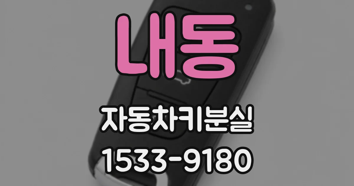 내동 자동차키분실