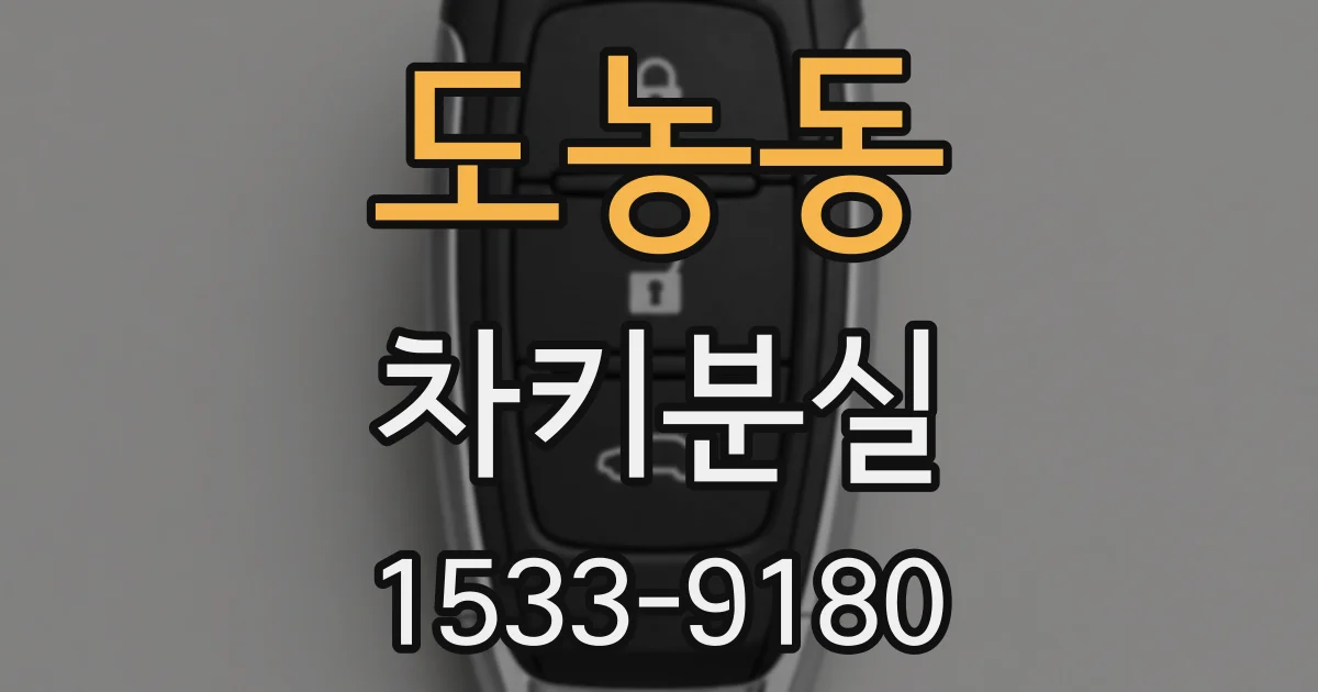 도농동 차키분실