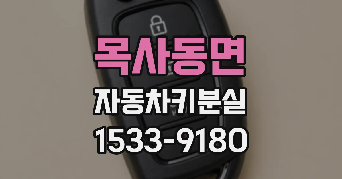 목사동면 자동차키분실