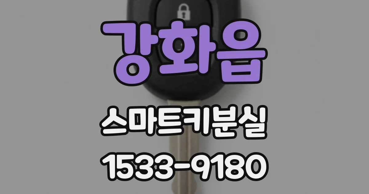 강화읍 스마트키분실