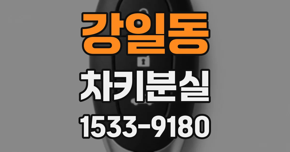 강일동 차키분실