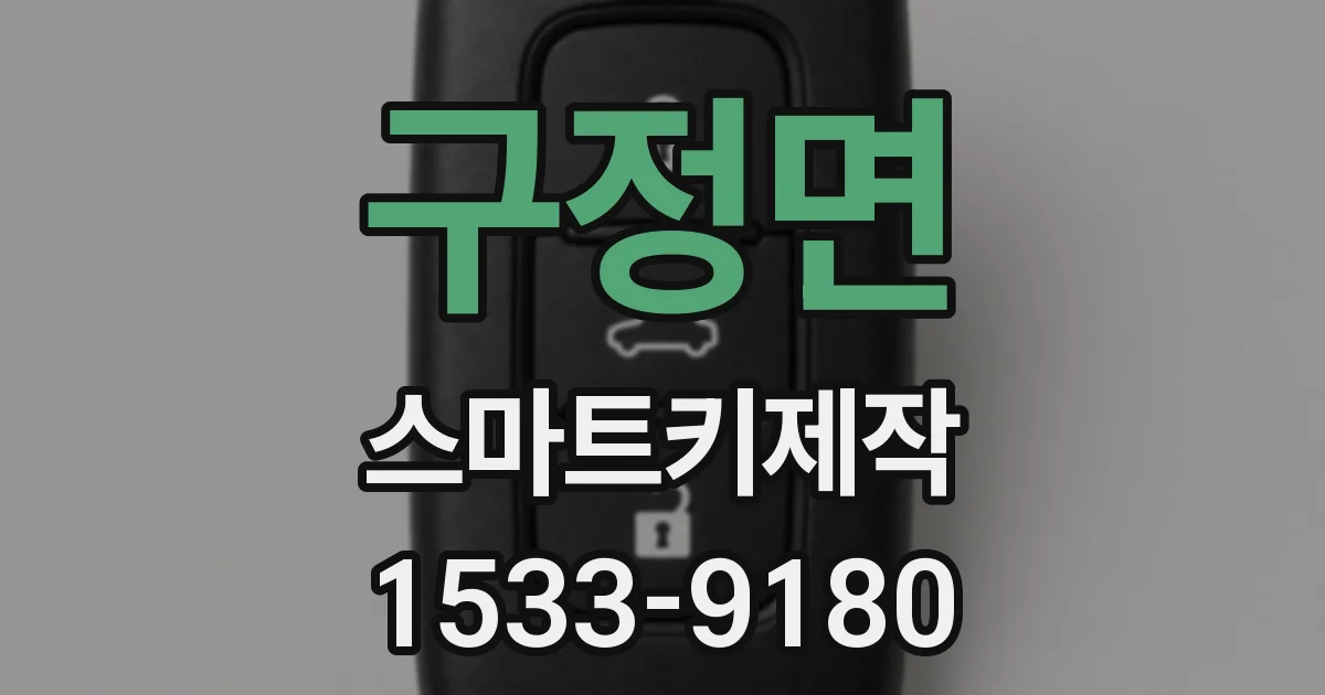 구정면 스마트키제작