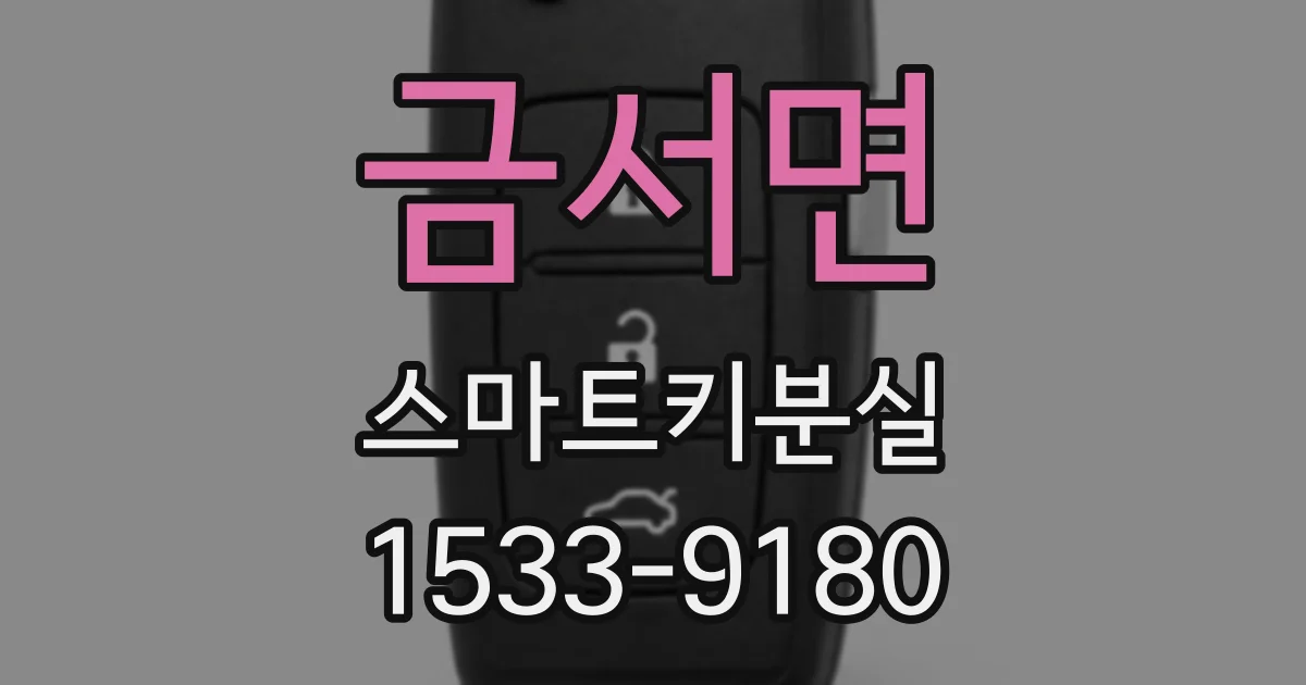 금서면 스마트키분실