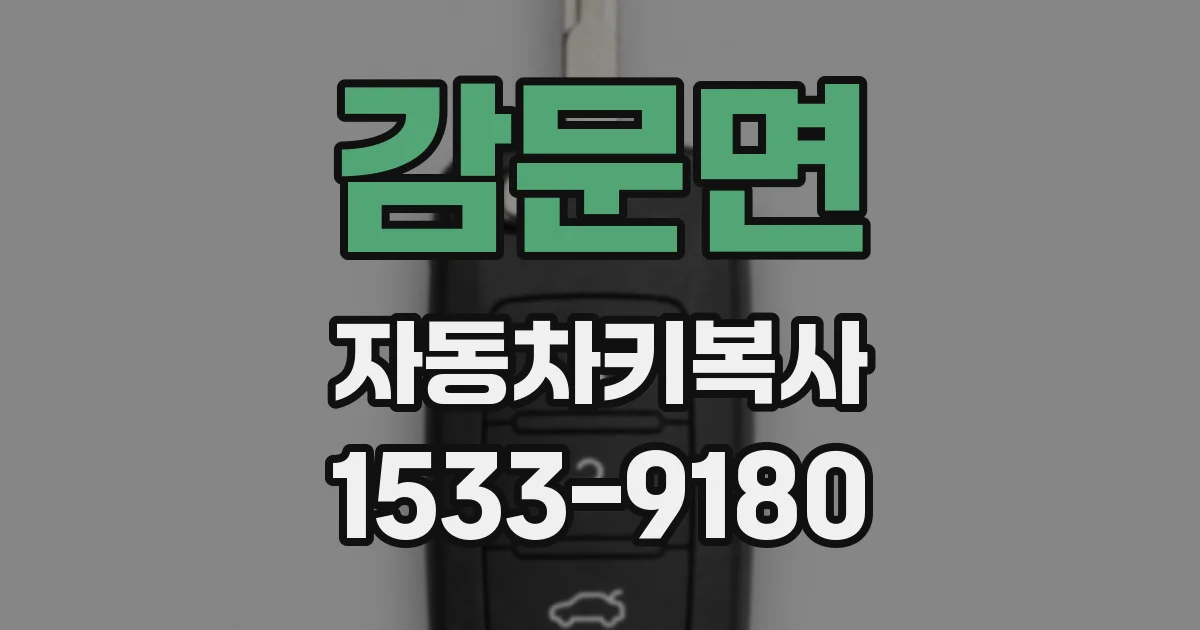 감문면 자동차키복사