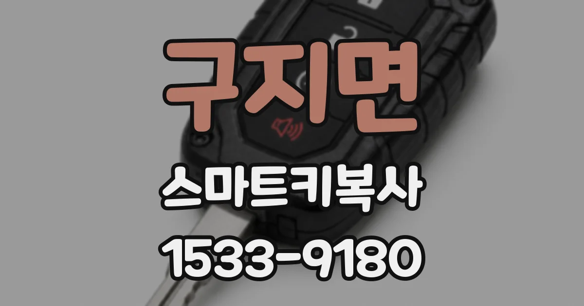구지면 스마트키복사