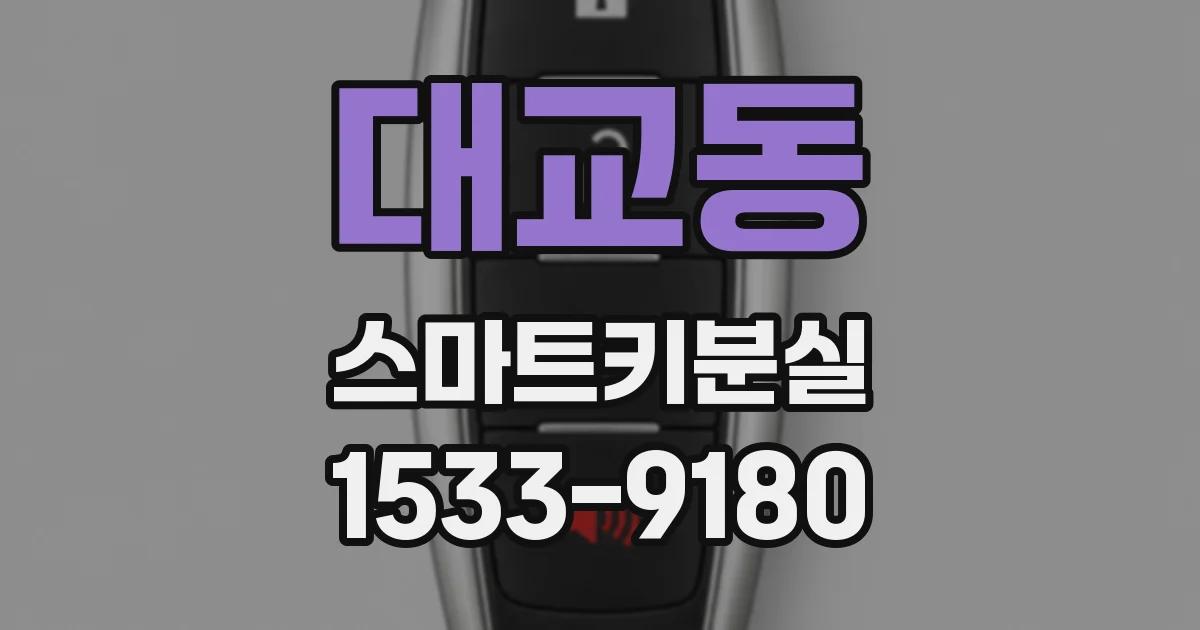 대교동 스마트키분실
