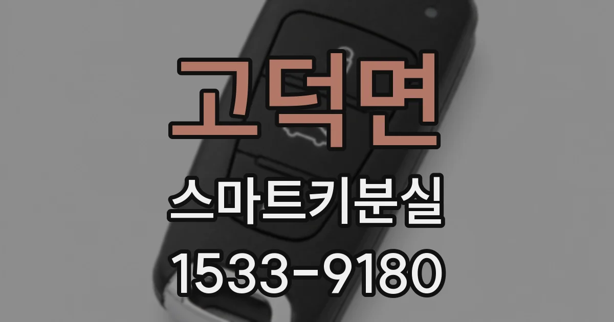 고덕면 스마트키분실