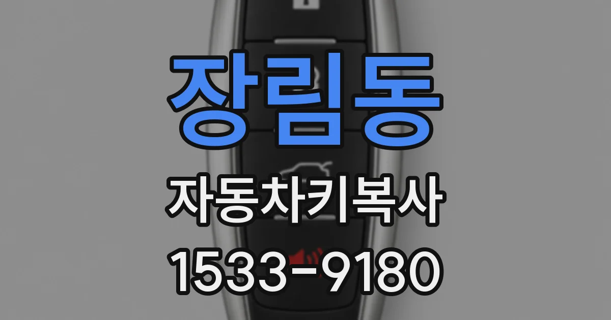 장림동 자동차키복사