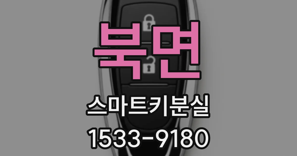 북면 스마트키분실