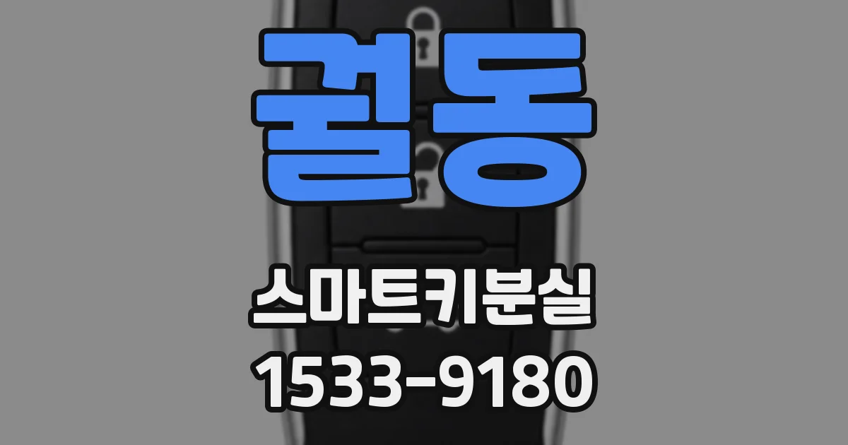 궐동 스마트키분실