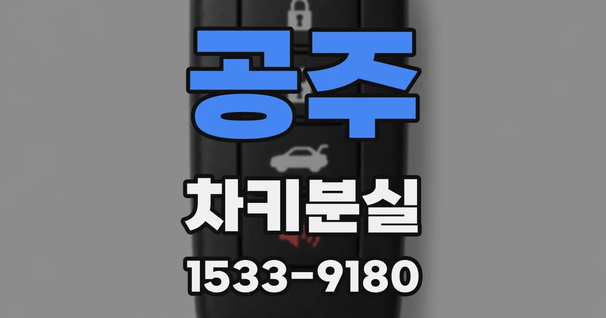 공주 차키분실