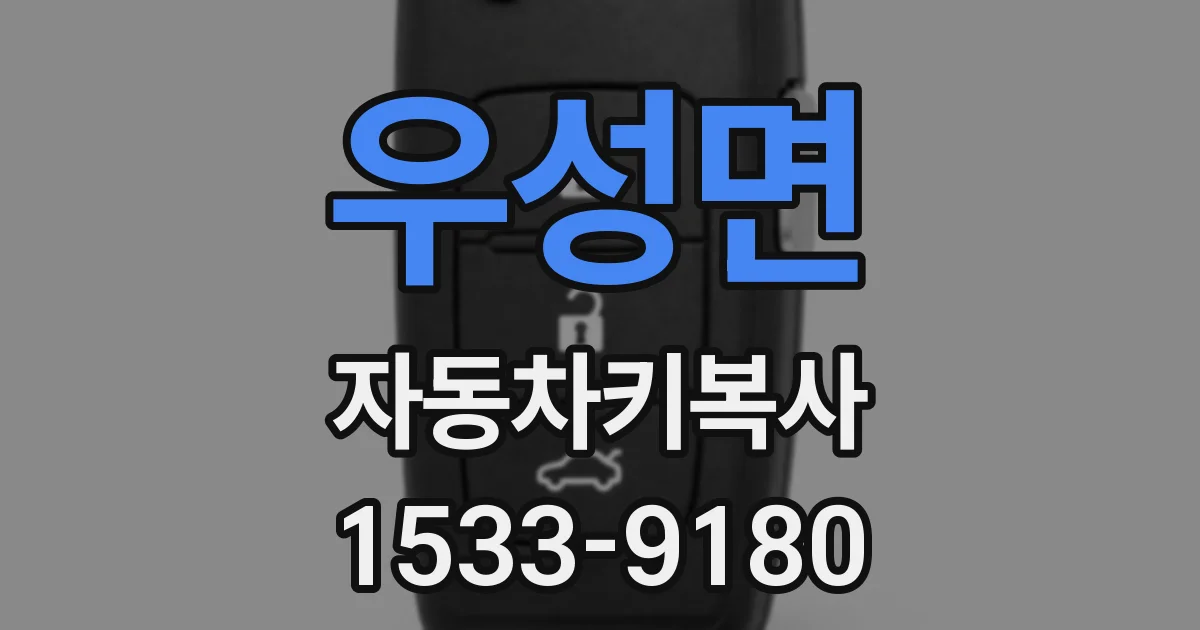 우성면 자동차키복사