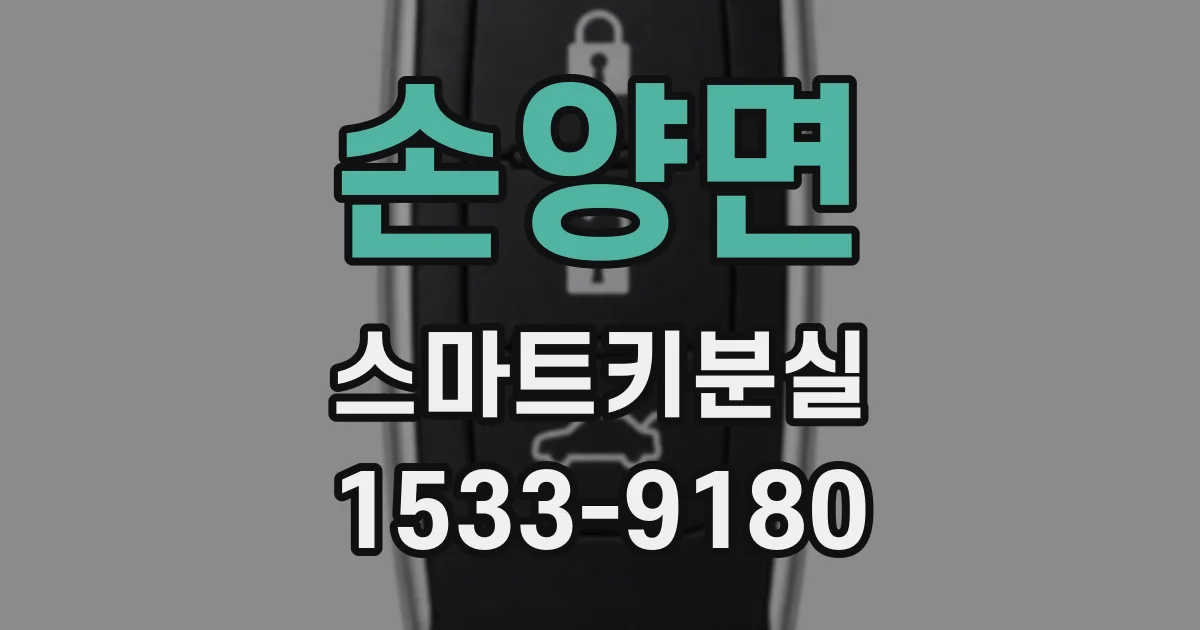 손양면 스마트키분실