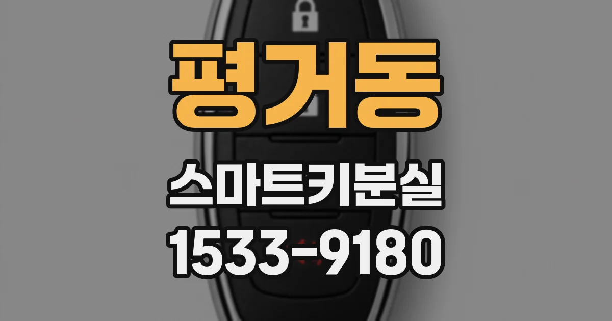 평거동 스마트키분실