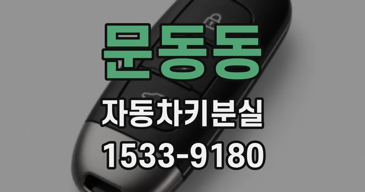 문동동 자동차키분실