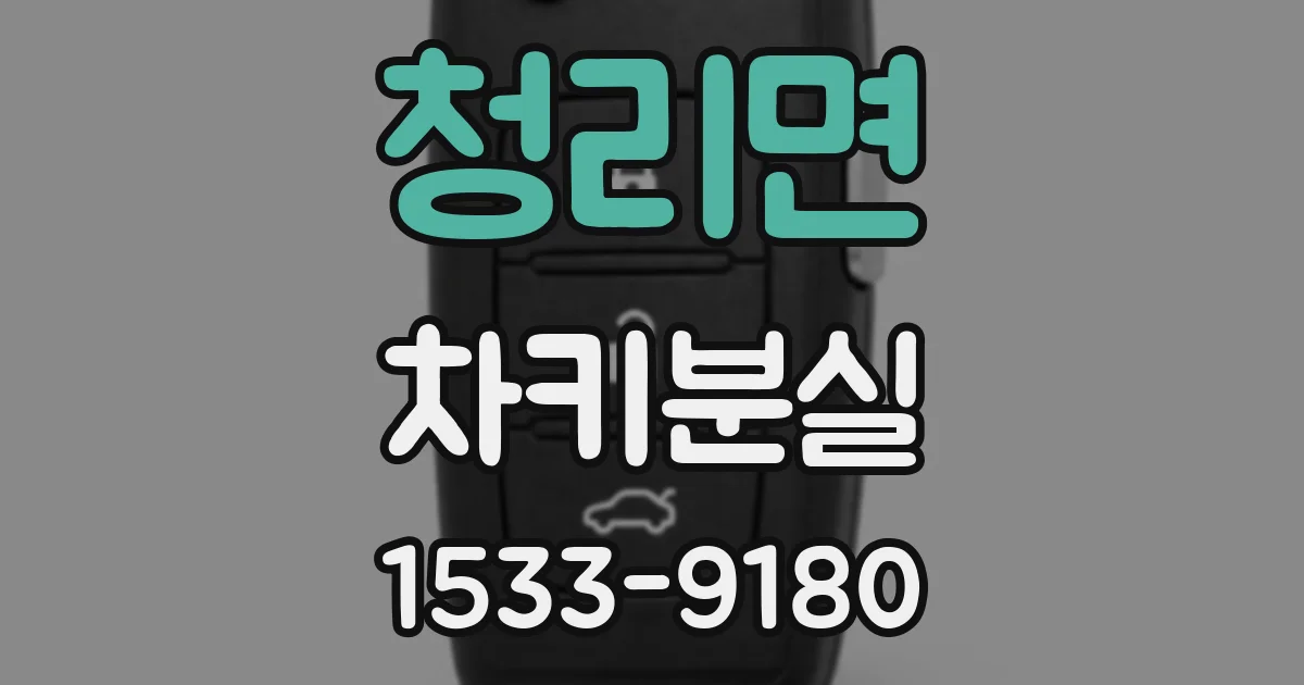 청리면 차키분실