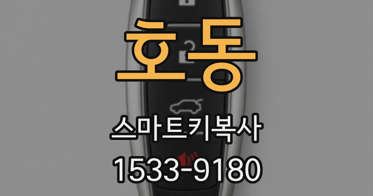 호동 스마트키복사