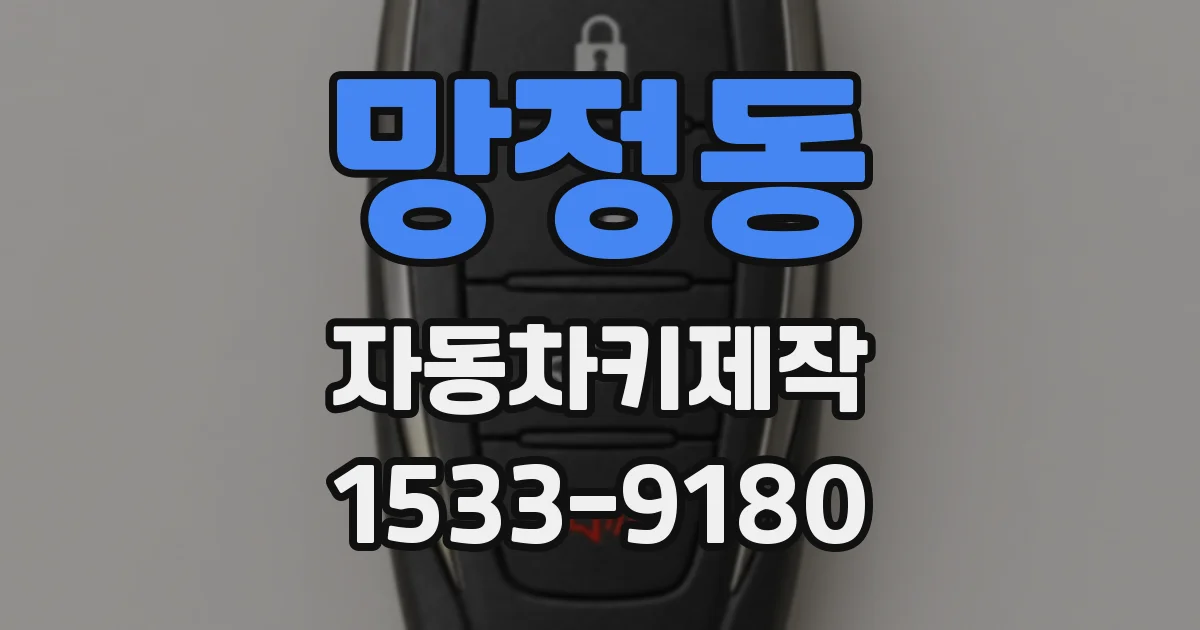 망정동 자동차키제작