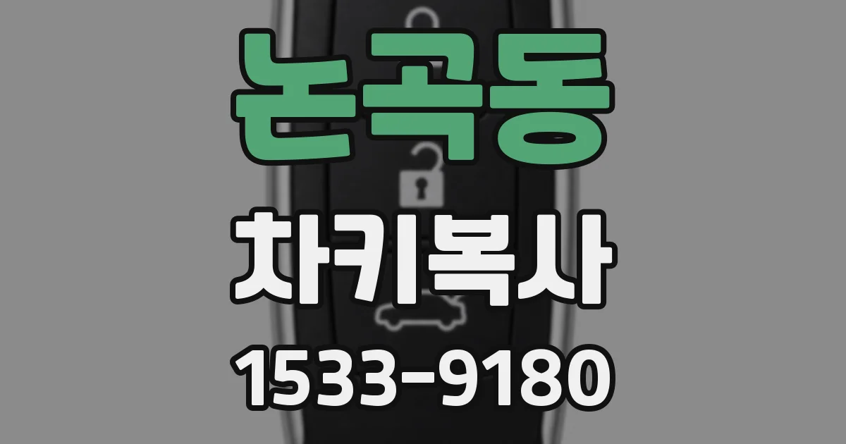 논곡동 차키복사