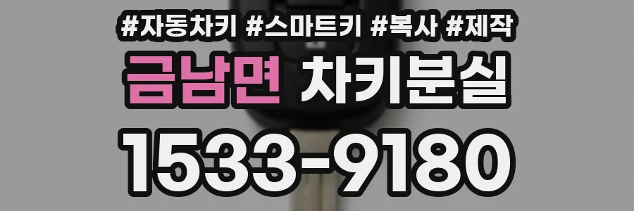 금남면 차키분실