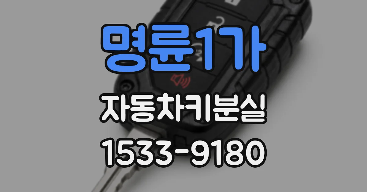 명륜1가 자동차키분실