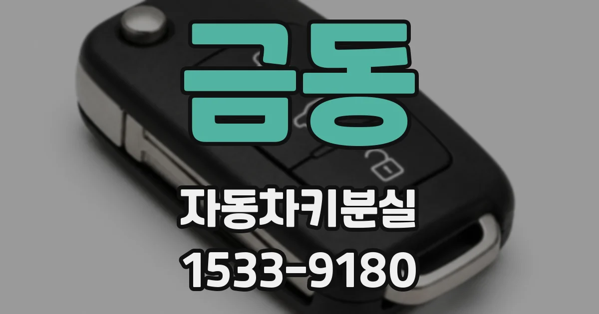 금동 자동차키분실
