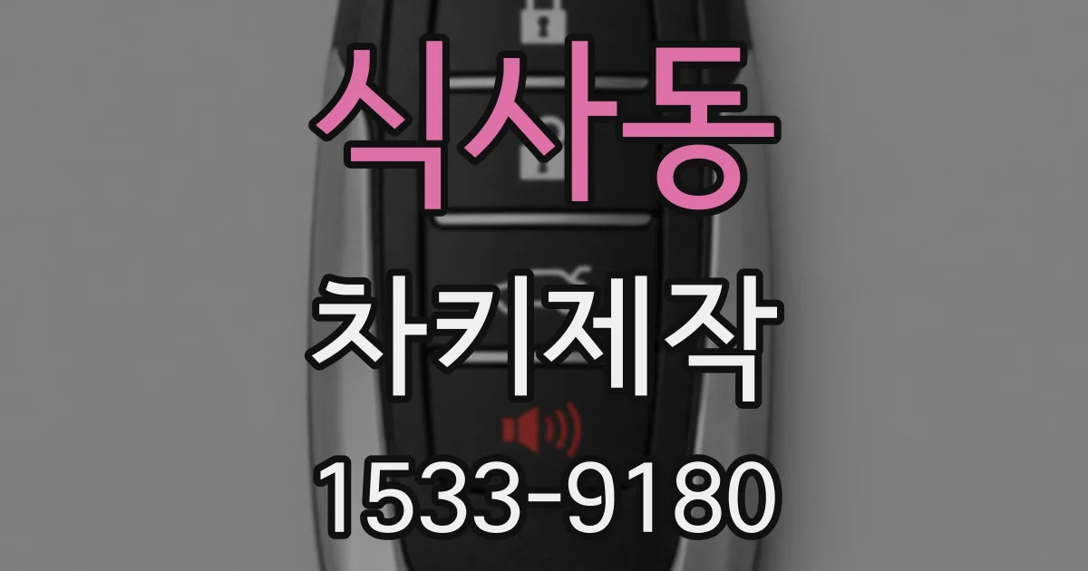 식사동 차키제작