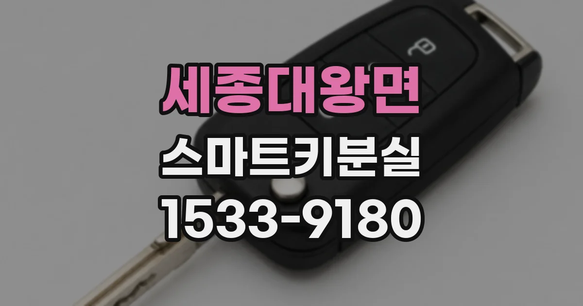 세종대왕면 스마트키분실