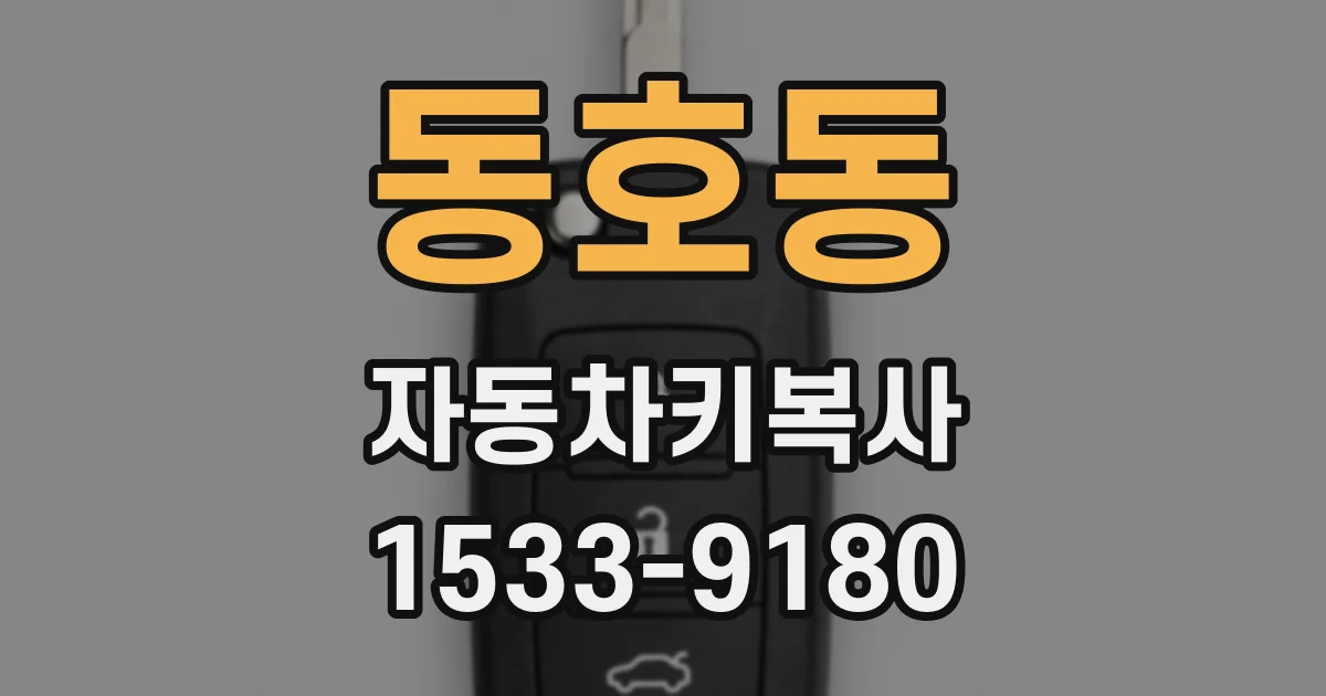 동호동 자동차키복사