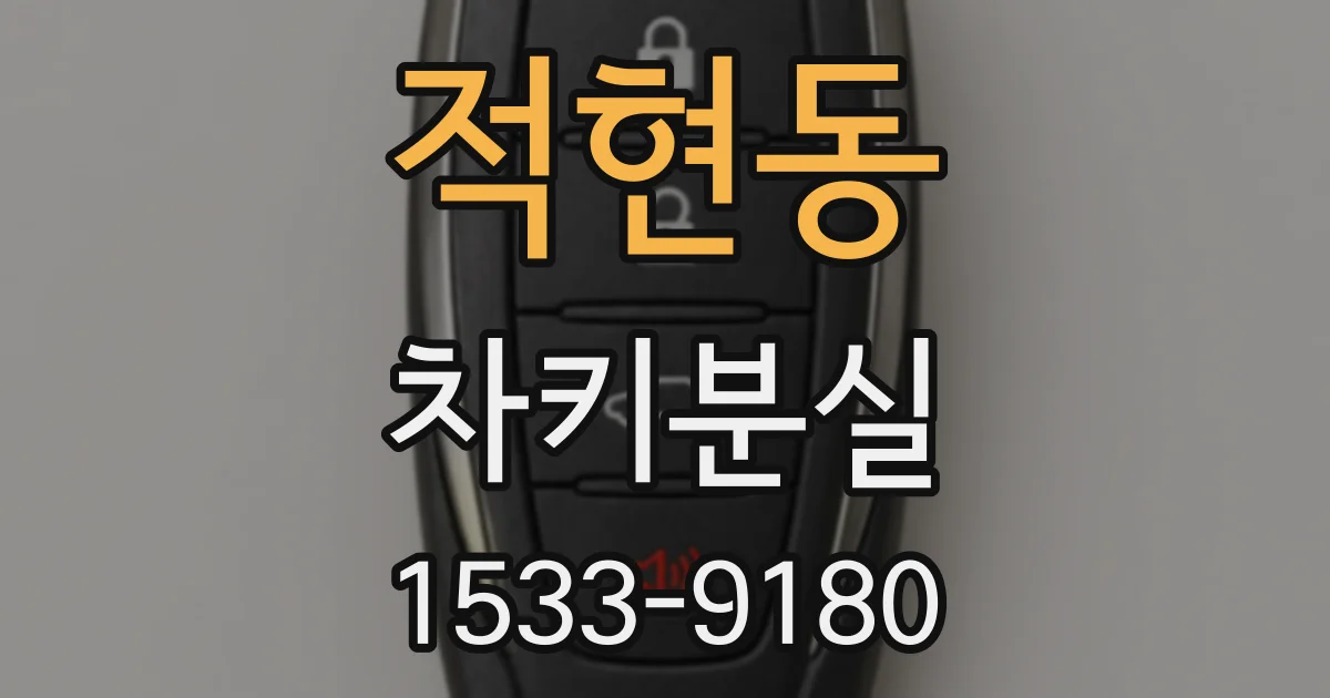 적현동 차키분실