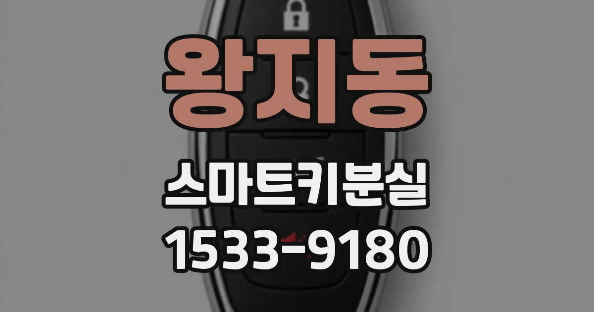 왕지동 스마트키분실