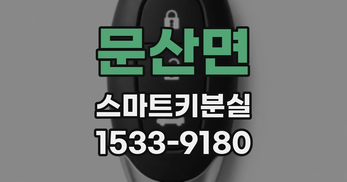 문산면 스마트키분실