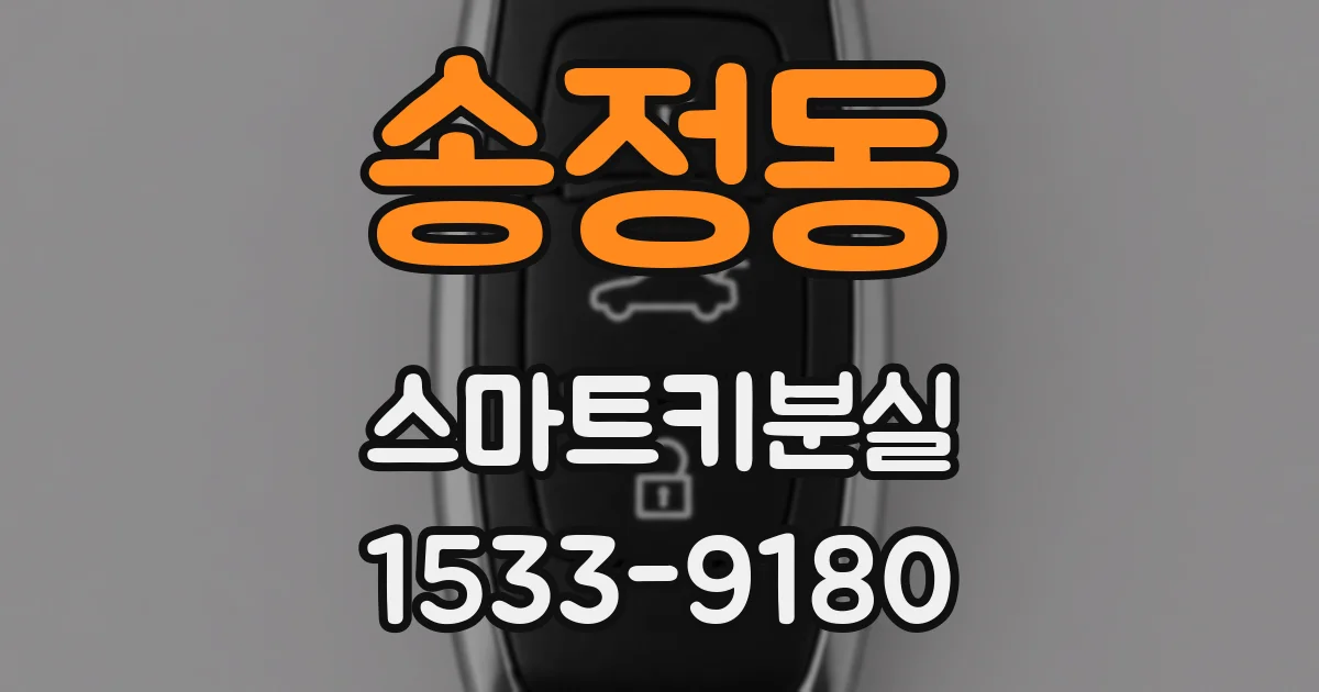송정동 스마트키분실