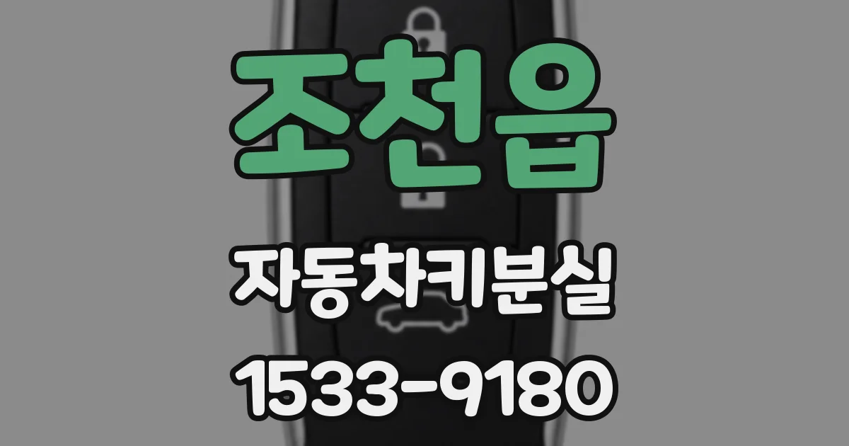 조천읍 자동차키분실