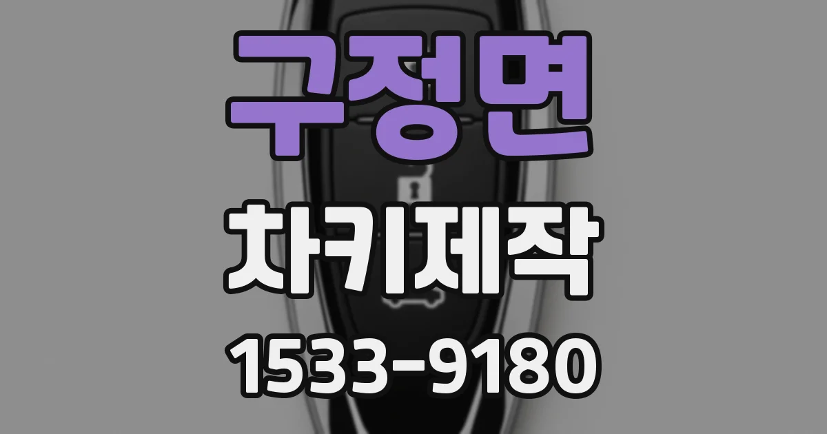 구정면 차키제작