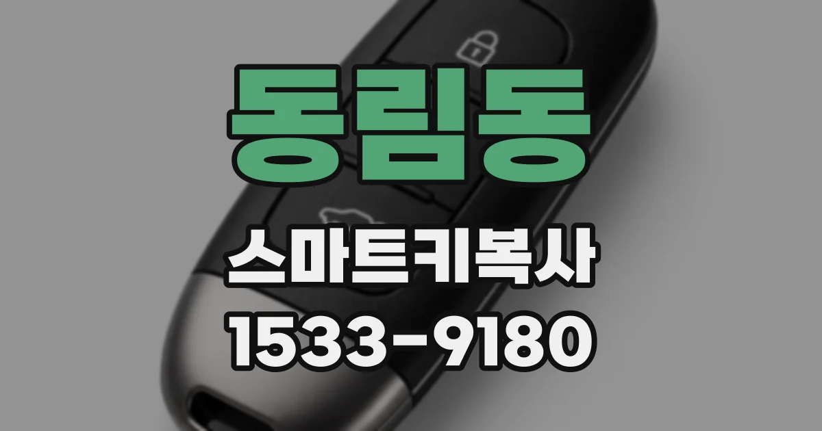 동림동 스마트키복사