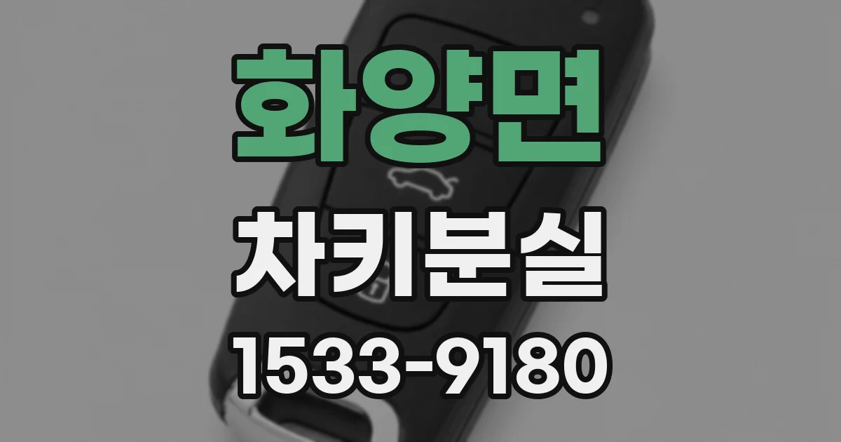화양면 차키분실