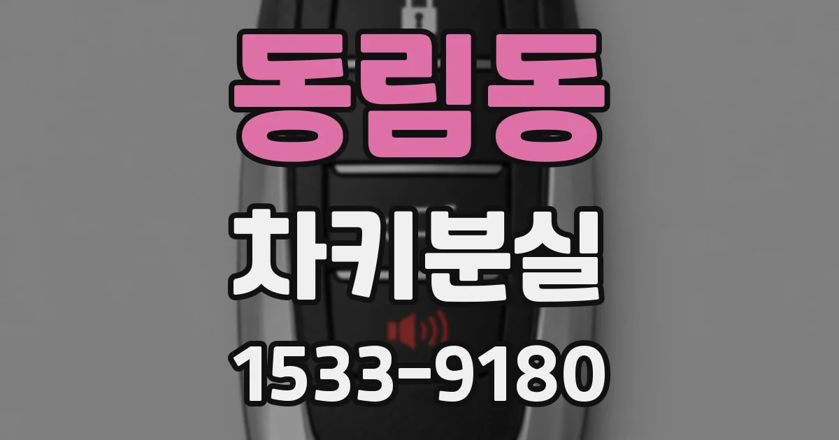 동림동 차키분실