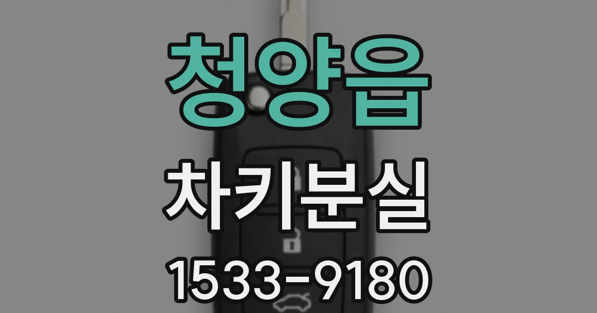청양읍 차키분실