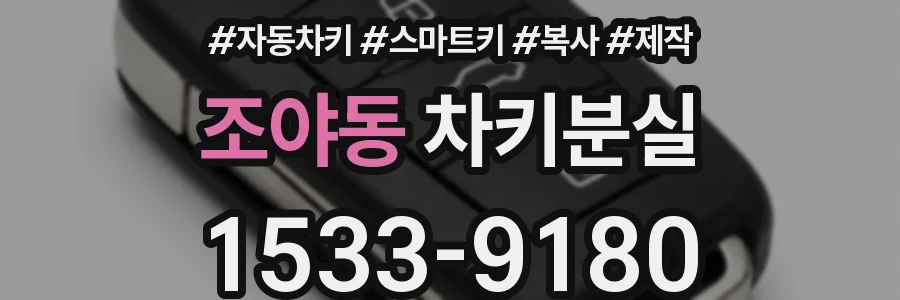 조야동 차키분실
