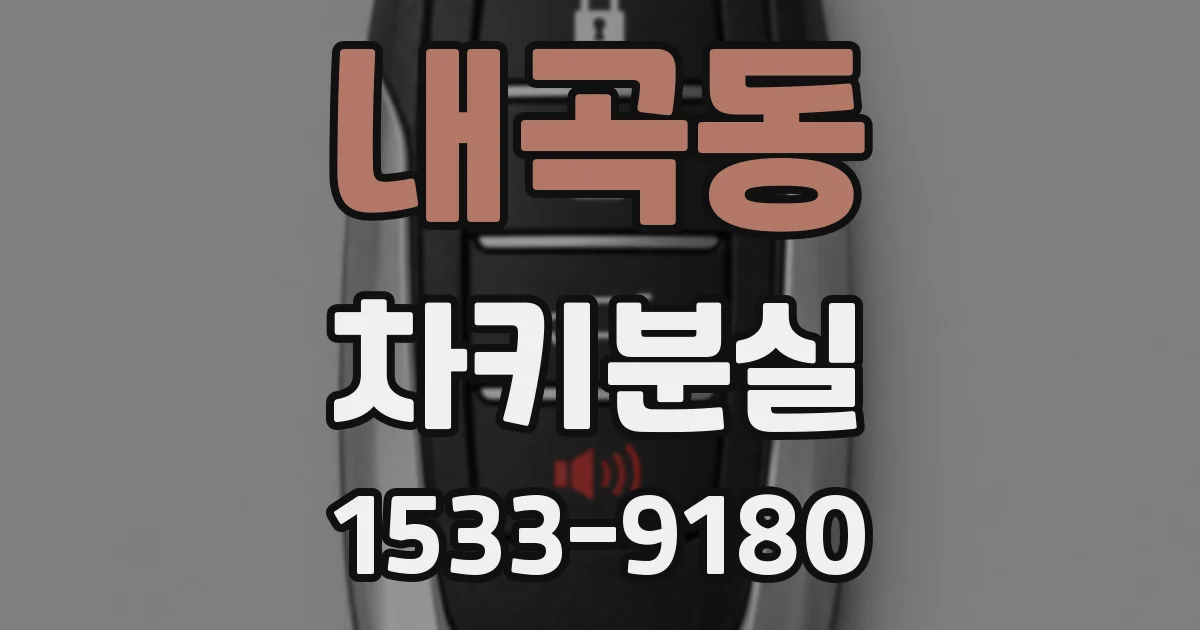 내곡동 차키분실