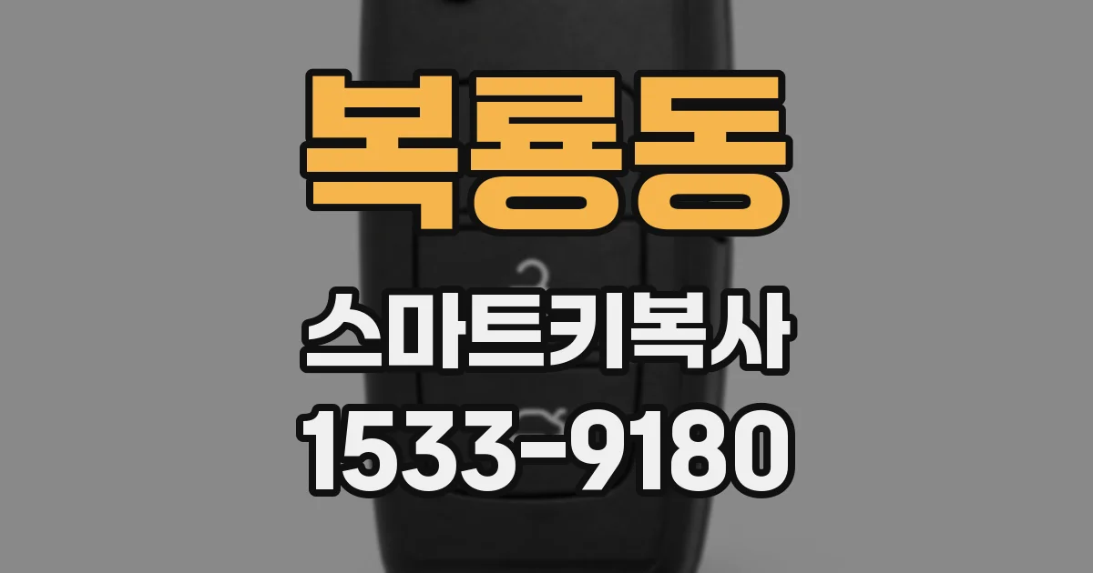 복룡동 스마트키복사