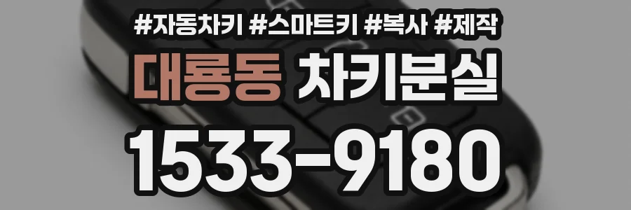 대룡동 차키분실