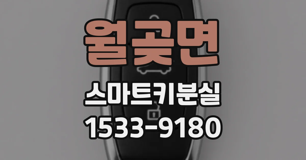 월곶면 스마트키분실