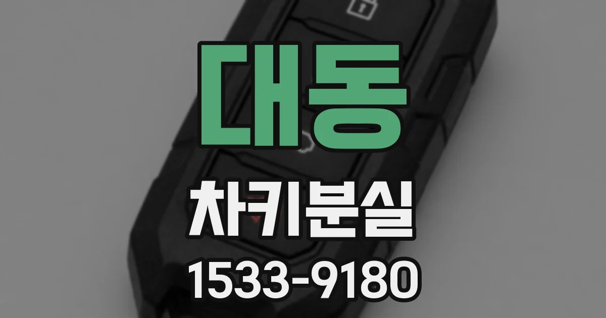 대동 차키분실