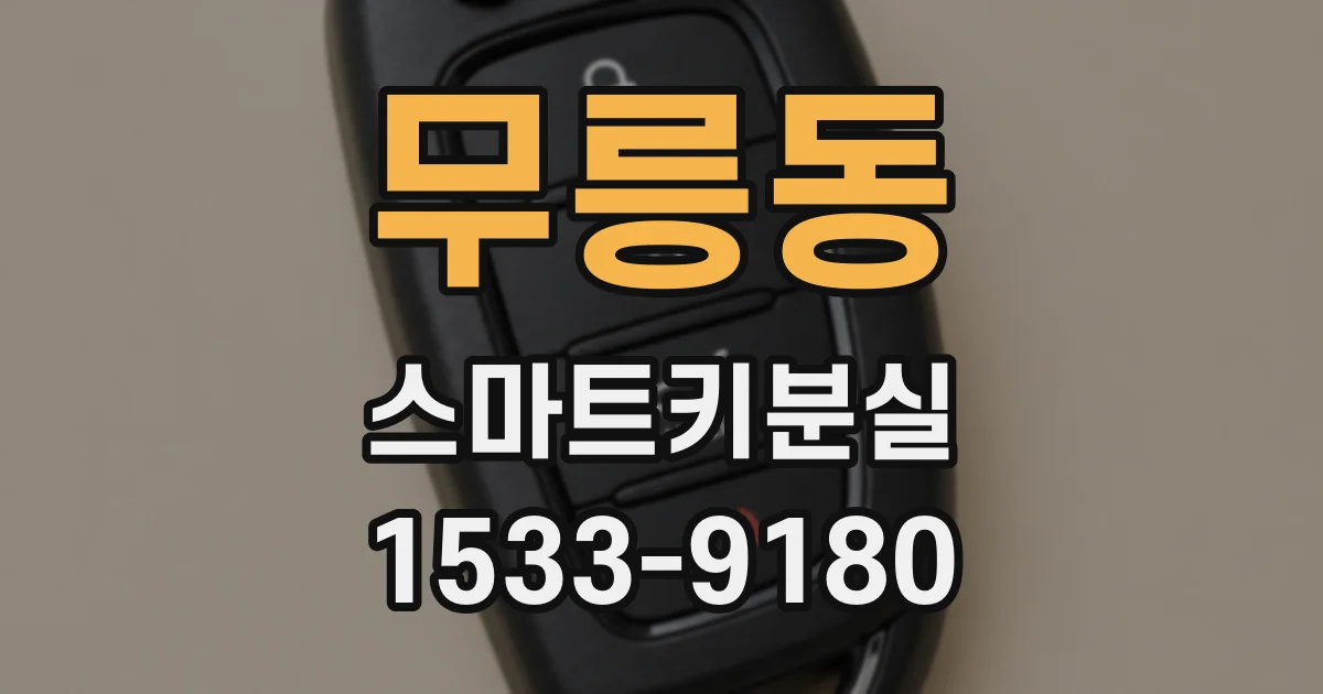 무릉동 스마트키분실