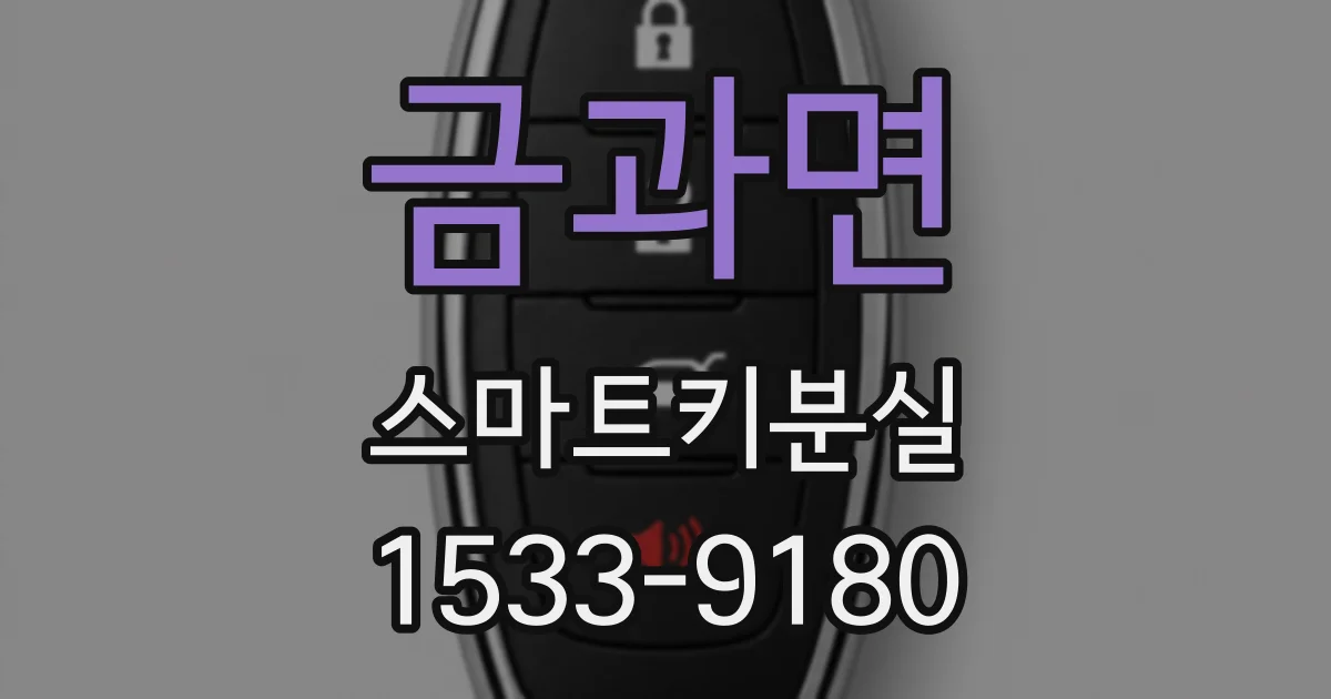금과면 스마트키분실